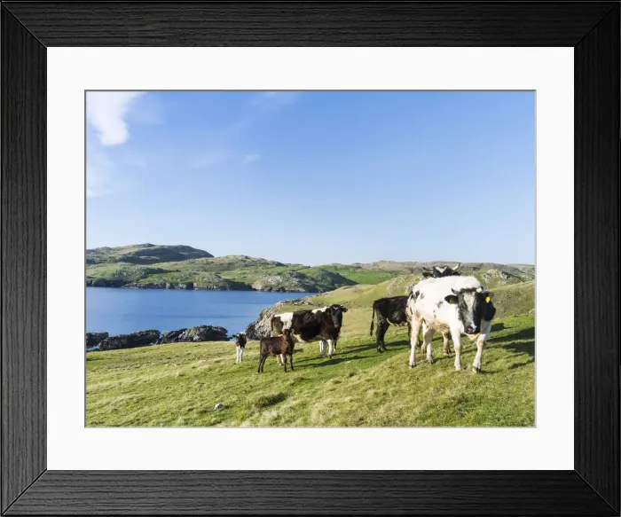 Framed Print : DDE-90036258 Framed Print : DDE-90036258