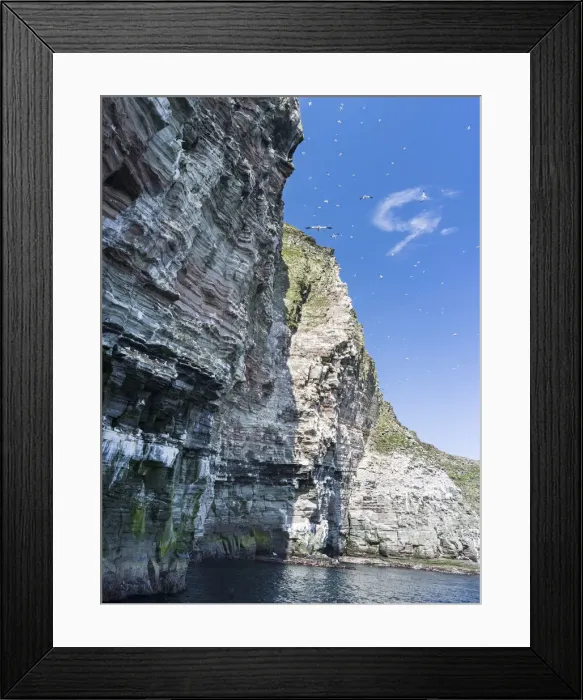Framed Print : DDE-90036288 Framed Print : DDE-90036288