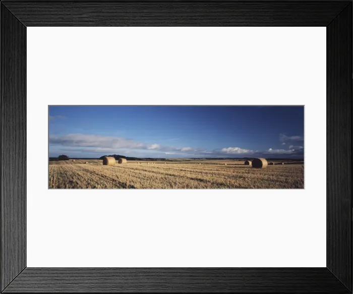 Framed Print : DDE-90036291 Framed Print : DDE-90036291