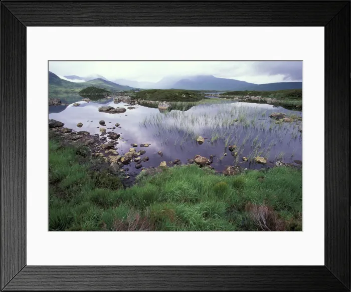 Framed Print : DDE-90036294