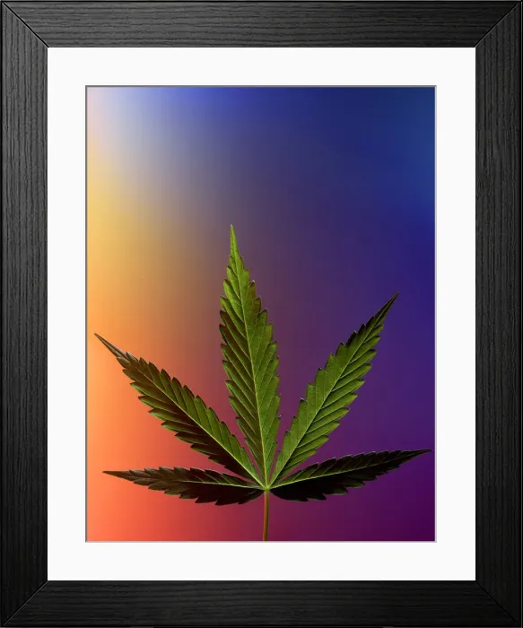Framed Print : DDE-90036300 Framed Print : DDE-90036300