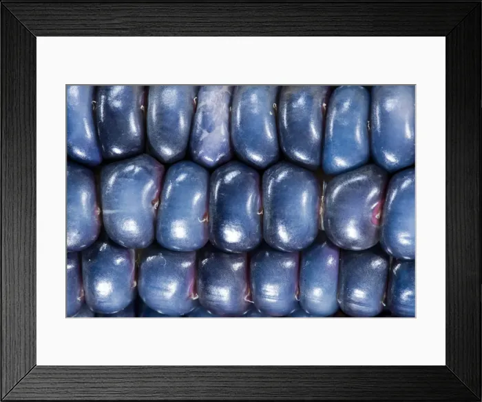 Framed Print : DDE-90036305 Framed Print : DDE-90036305