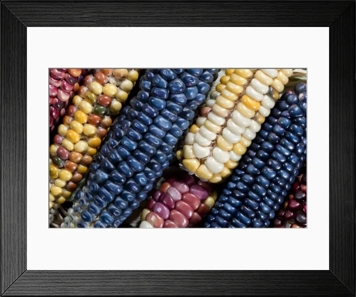Framed Print : DDE-90036304