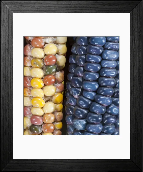Framed Print : DDE-90036308 Framed Print : DDE-90036308