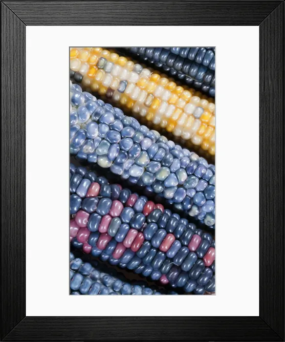 Framed Print : DDE-90036311 Framed Print : DDE-90036311