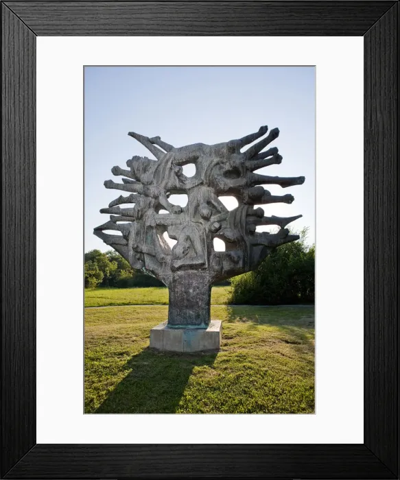 Framed Print : DDE-90036309 Framed Print : DDE-90036309