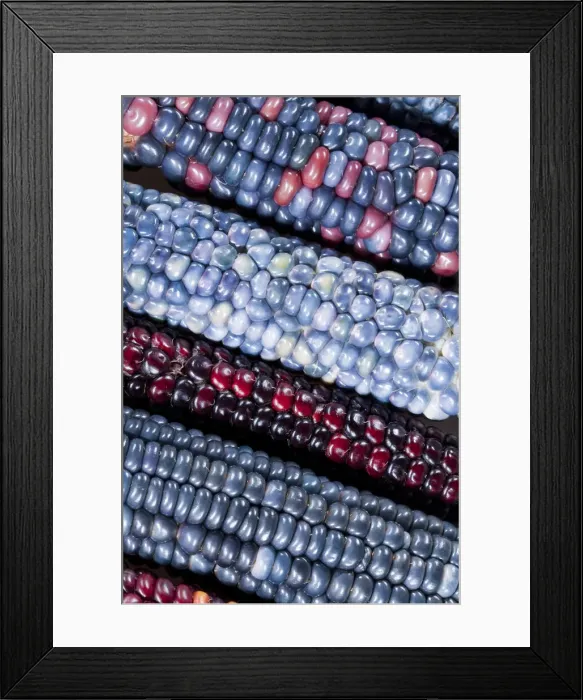 Framed Print : DDE-90036312 Framed Print : DDE-90036312