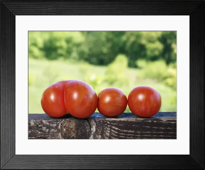 Framed Print : DDE-90036318 Framed Print : DDE-90036318