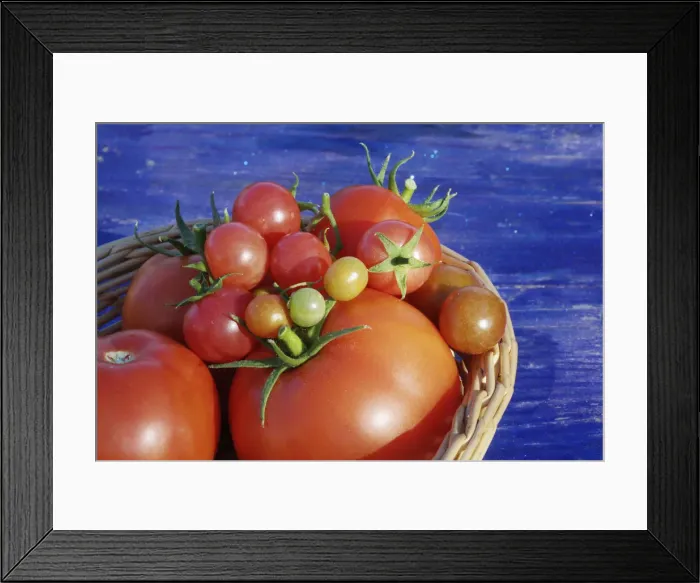 Framed Print : DDE-90036319 Framed Print : DDE-90036319