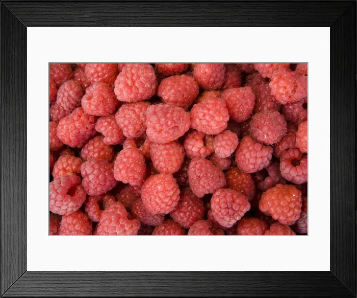 Framed Print : DDE-90036317 Framed Print : DDE-90036317