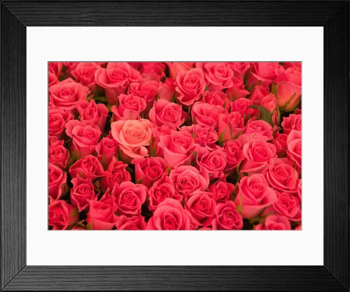 Framed Print : DDE-90036323