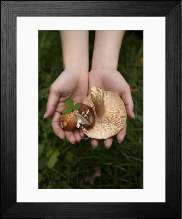 Framed Print : DDE-90036326 Framed Print : DDE-90036326
