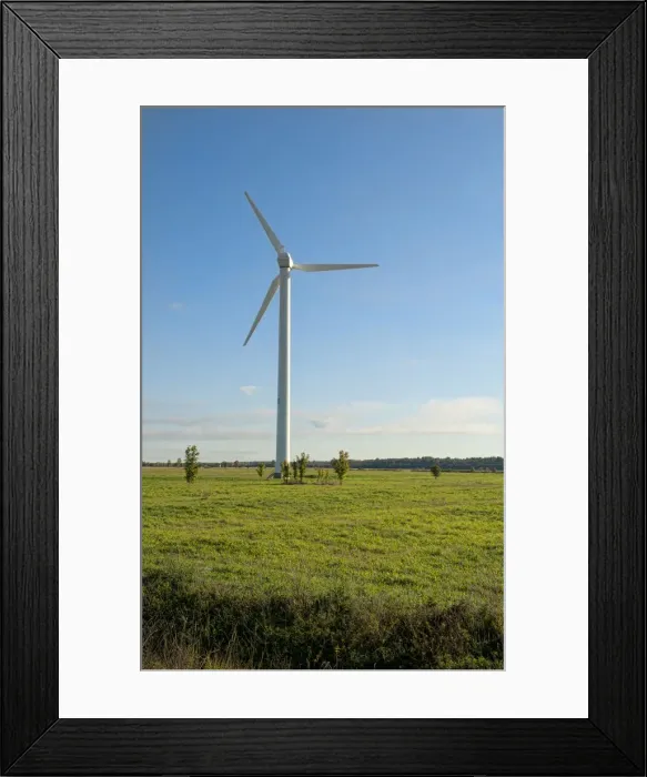 Framed Print : DDE-90036325 Framed Print : DDE-90036325