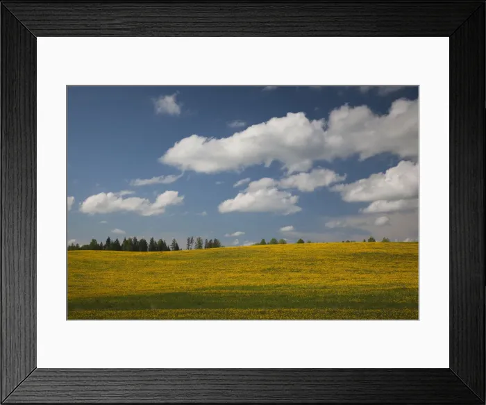 Framed Print : DDE-90036330 Framed Print : DDE-90036330