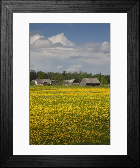 Framed Print : DDE-90036329 Framed Print : DDE-90036329