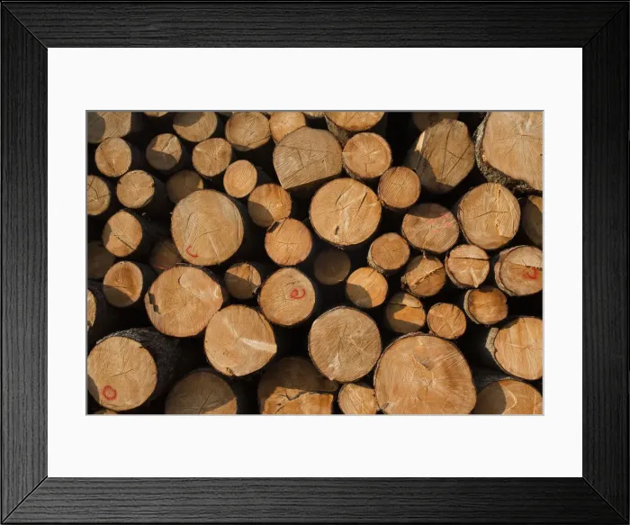 Framed Print : DDE-90036332 Framed Print : DDE-90036332