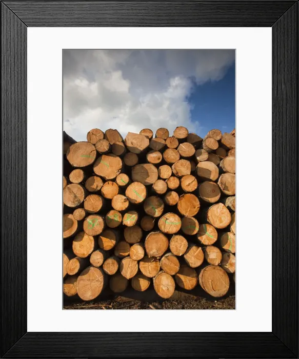 Framed Print : DDE-90036333 Framed Print : DDE-90036333