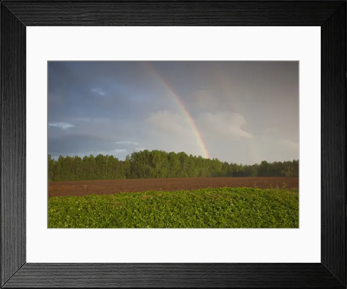 Framed Print : DDE-90036335 Framed Print : DDE-90036335