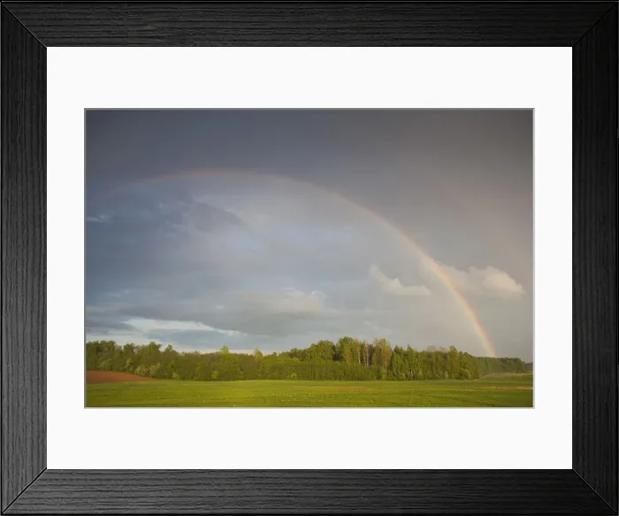 Framed Print : DDE-90036336 Framed Print : DDE-90036336