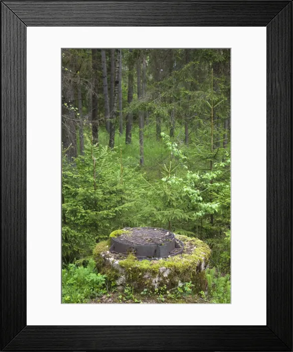 Framed Print : DDE-90036339 Framed Print : DDE-90036339