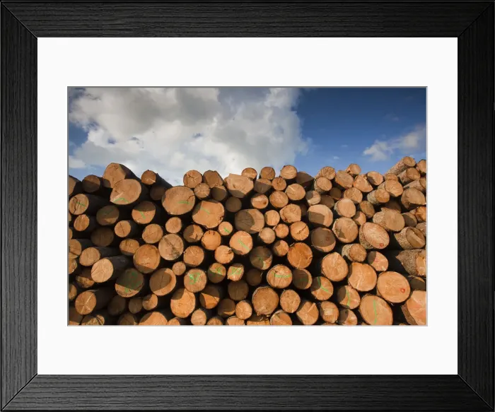 Framed Print : DDE-90036334 Framed Print : DDE-90036334