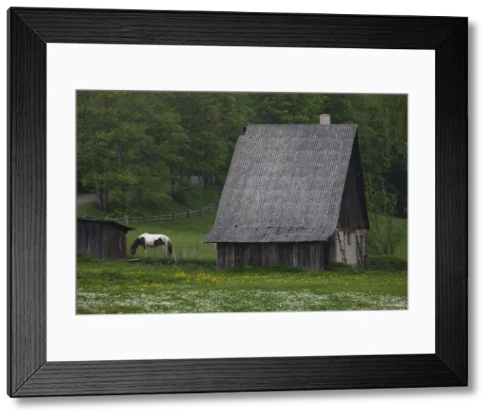 Framed Print : DDE-90036344 Framed Print : DDE-90036344