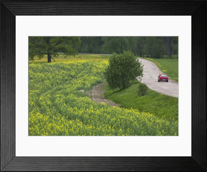 Framed Print : DDE-90036346 Framed Print : DDE-90036346