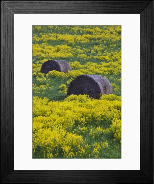 Framed Print : DDE-90036348 Framed Print : DDE-90036348