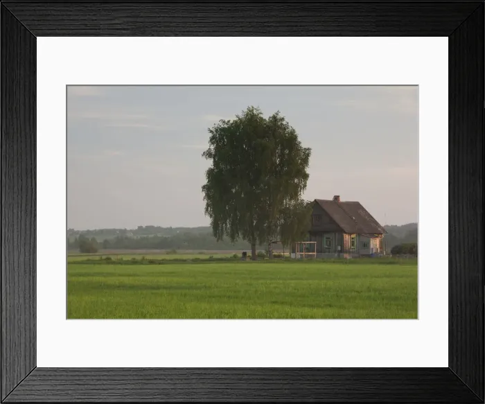 Framed Print : DDE-90036365 Framed Print : DDE-90036365