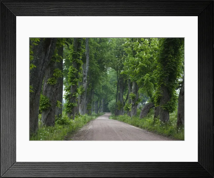 Framed Print : DDE-90036370 Framed Print : DDE-90036370