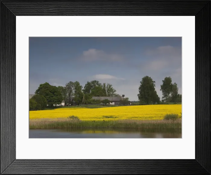Framed Print : DDE-90036372 Framed Print : DDE-90036372