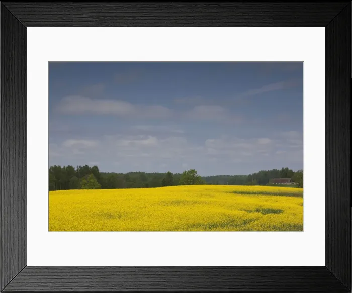Framed Print : DDE-90036371 Framed Print : DDE-90036371