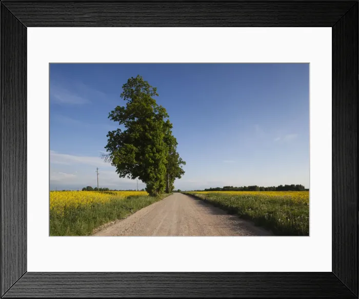 Framed Print : DDE-90036379 Framed Print : DDE-90036379