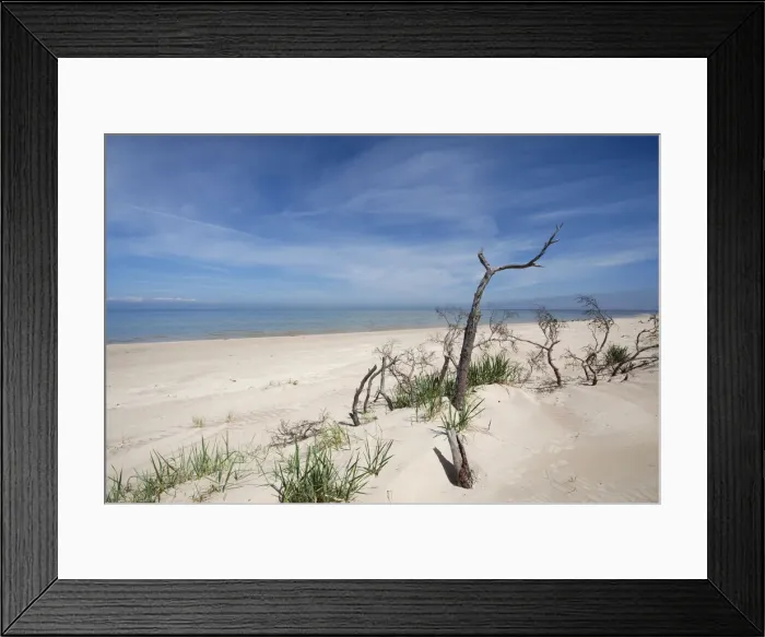 Framed Print : DDE-90036375 Framed Print : DDE-90036375