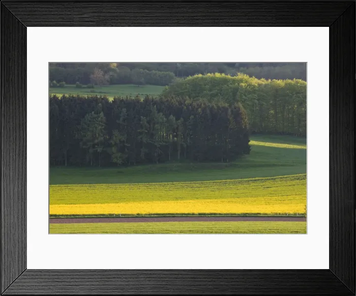 Framed Print : DDE-90036385 Framed Print : DDE-90036385