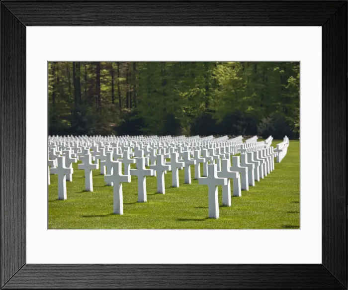 Framed Print : DDE-90036387 Framed Print : DDE-90036387