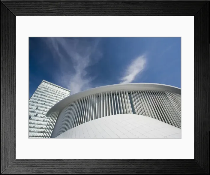 Framed Print : DDE-90036389