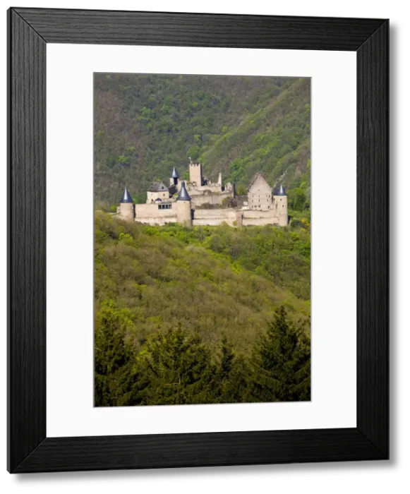 Framed Print : DDE-90036396