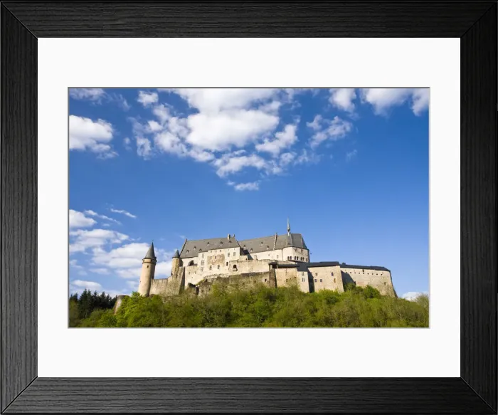 Framed Print : DDE-90036405