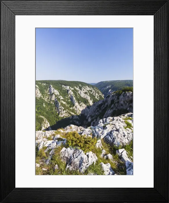 Framed Print : DDE-90036407
