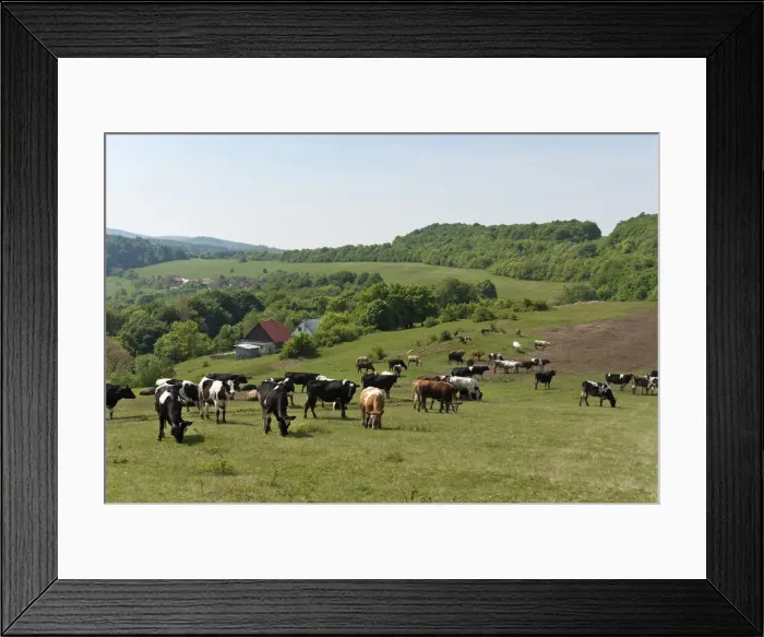Framed Print : DDE-90036410 Framed Print : DDE-90036410
