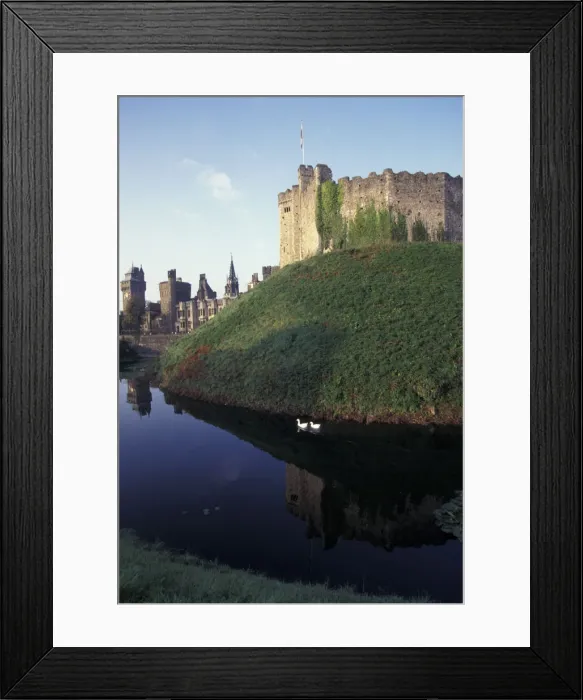 Framed Print : DDE-90036419 Framed Print : DDE-90036419