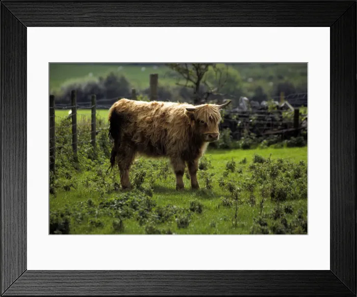 Framed Print : DDE-90036426 Framed Print : DDE-90036426