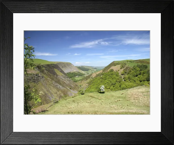 Framed Print : DDE-90036431