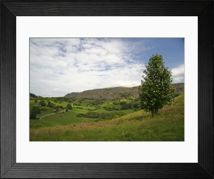 Framed Print : DDE-90036432 Framed Print : DDE-90036432