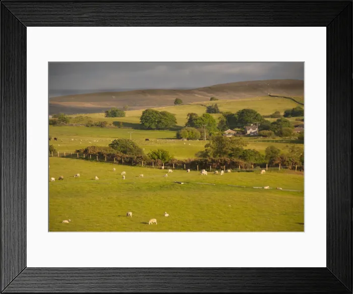 Framed Print : DDE-90036434 Framed Print : DDE-90036434