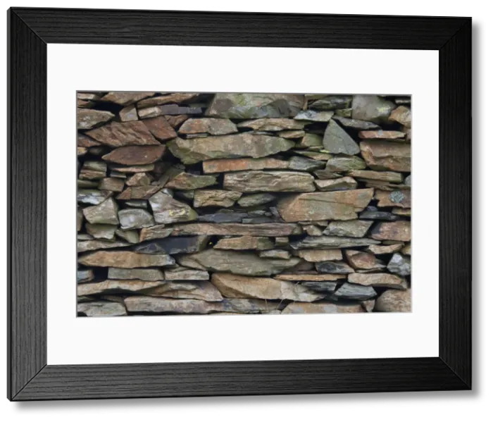 Framed Print : DDE-90036439