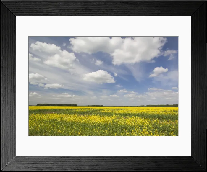Framed Print : DDE-90036453 Framed Print : DDE-90036453
