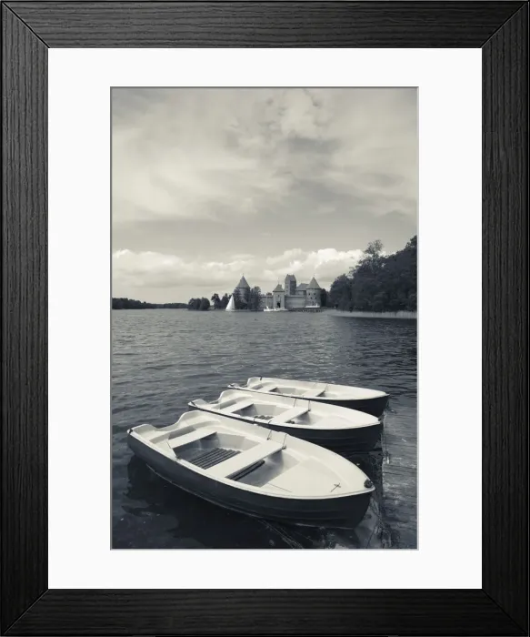 Framed Print : DDE-90036469 Framed Print : DDE-90036469