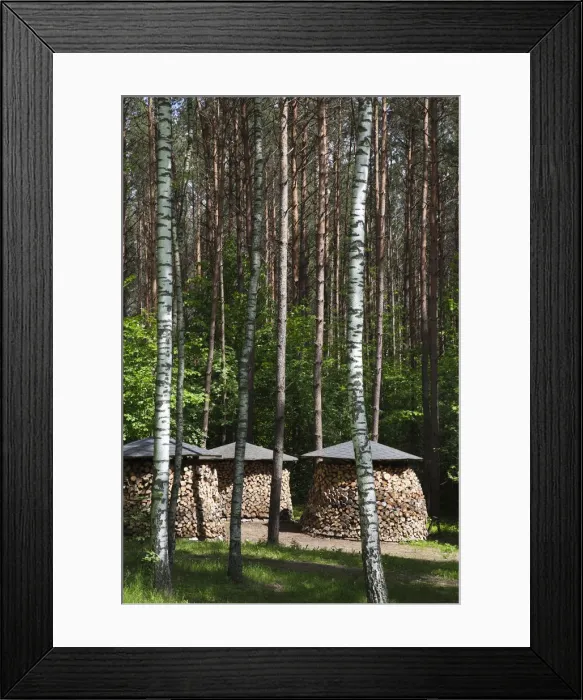 Framed Print : DDE-90036494 Framed Print : DDE-90036494